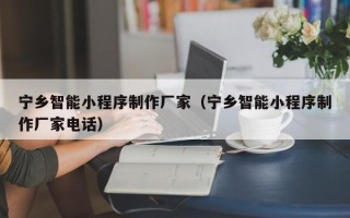 厦门宁乡智能小程序制作厂家（宁乡智能小程序制作厂家电话）