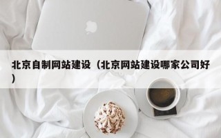 厦门北京自制网站建设（北京网站建设哪家公司好）